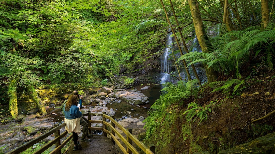 Glenariff Forest Park which includes a waterfall, forests and a river or creek