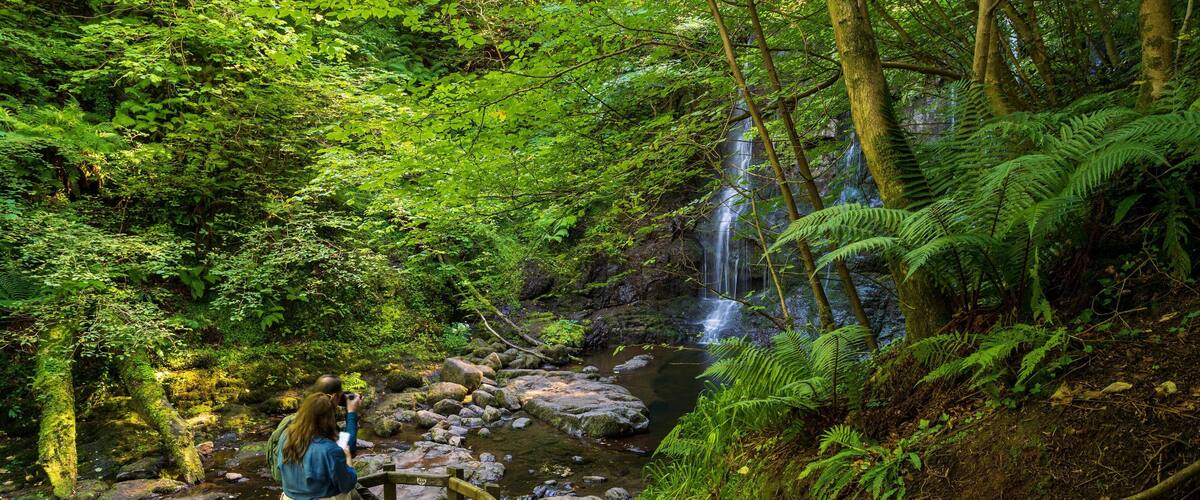 Glenariff Forest Park which includes a waterfall, forests and a river or creek