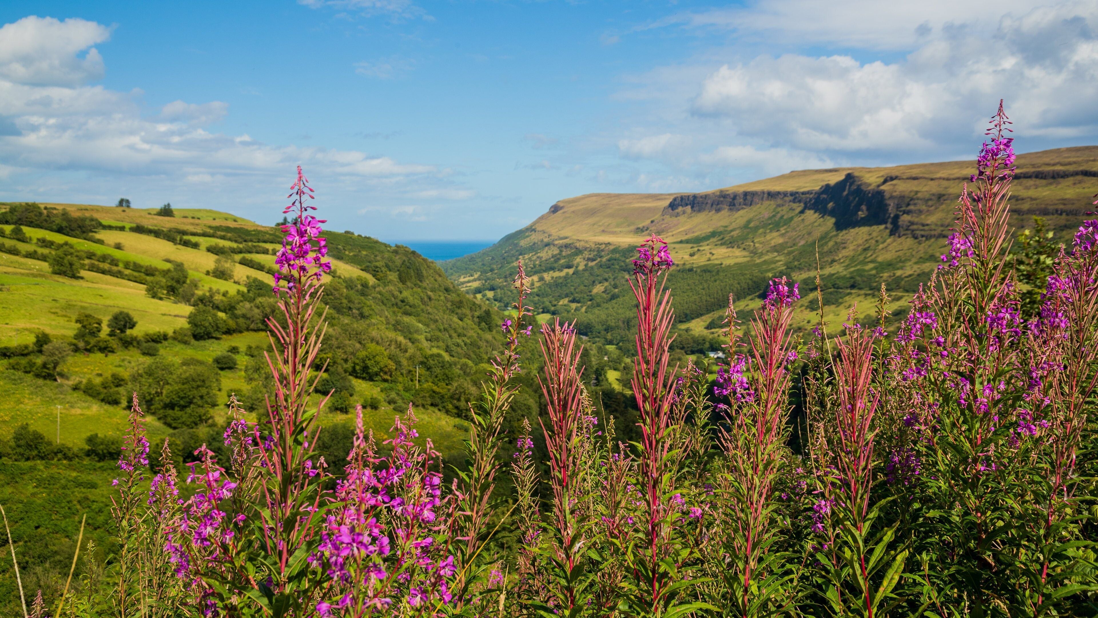 Glenariff Forest Park which includes wildflowers, tranquil scenes and landscape views