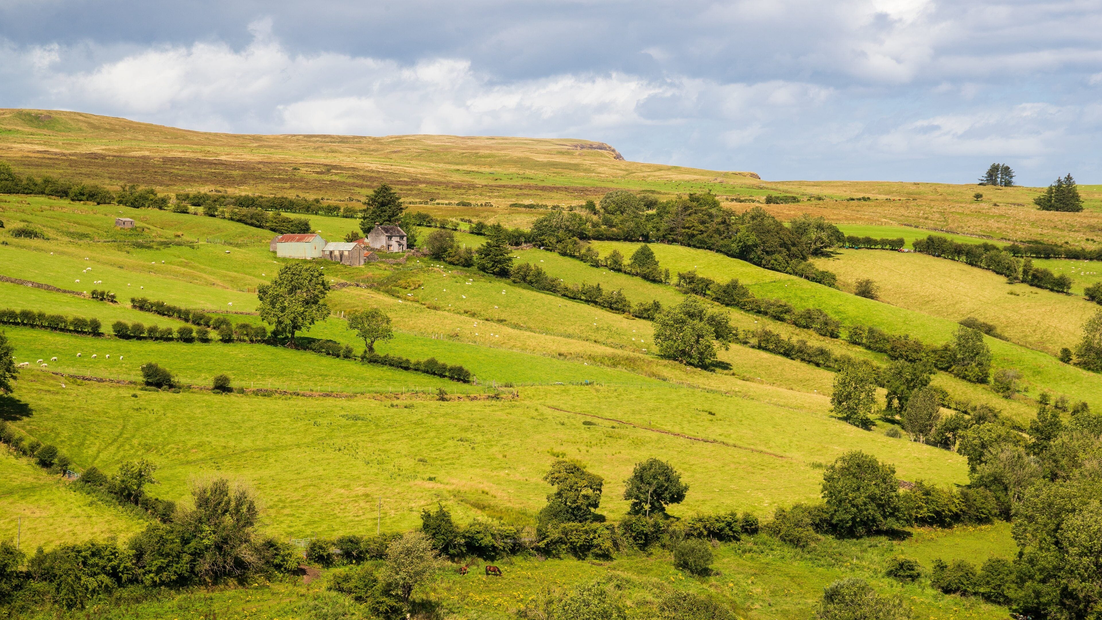 Glenariff Forest Park which includes tranquil scenes and landscape views