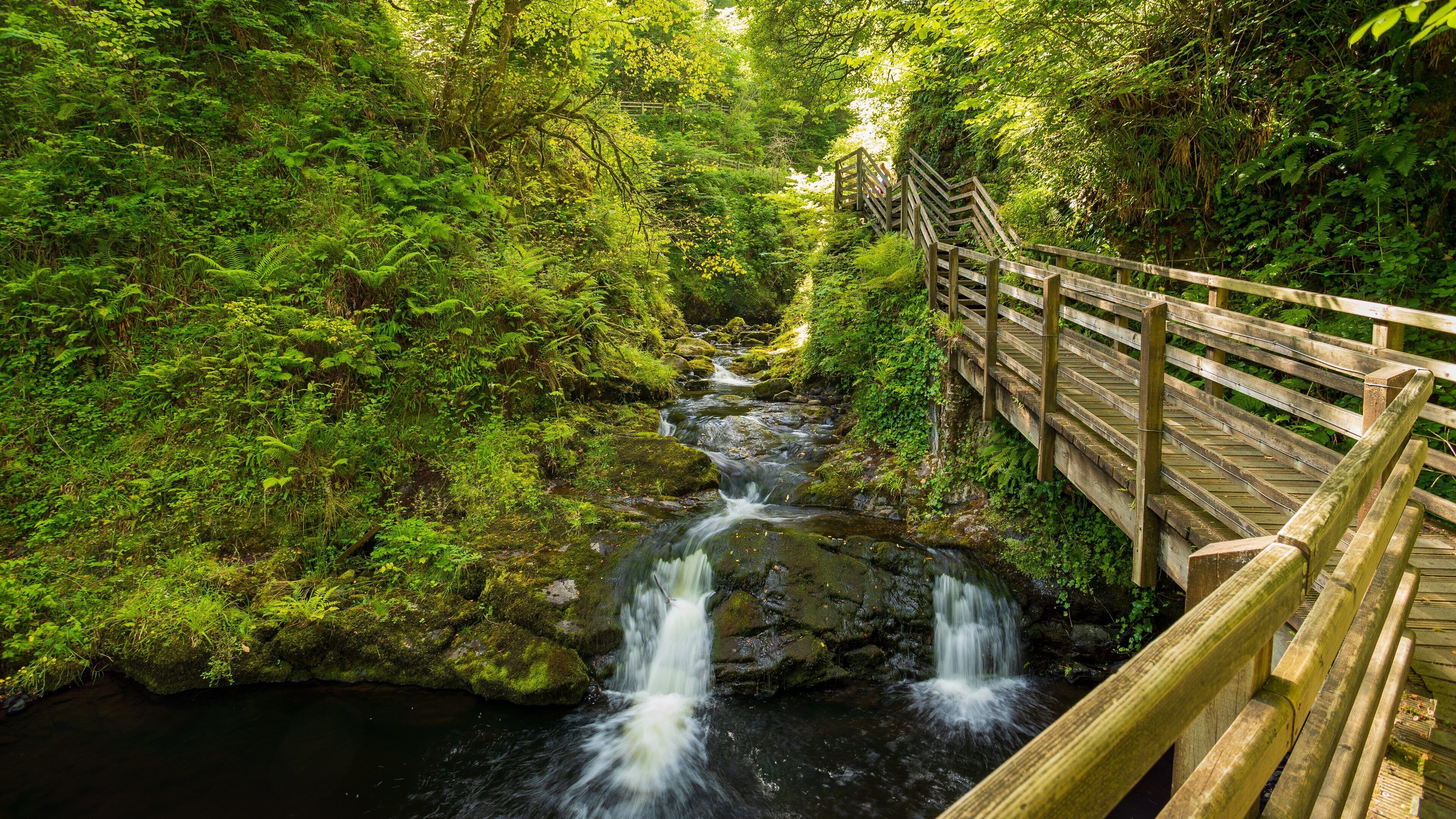 Glenariff Forest Park which includes a river or creek and forest scenes