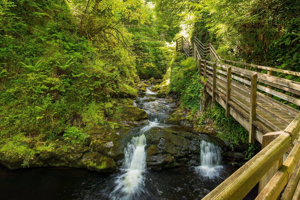 A wooden bridge over a cascading waterfall surrounded by lush greenery.