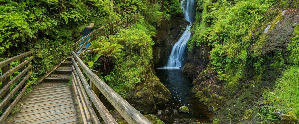 Glenariff Forest Park which includes a river or creek, forests and a cascade