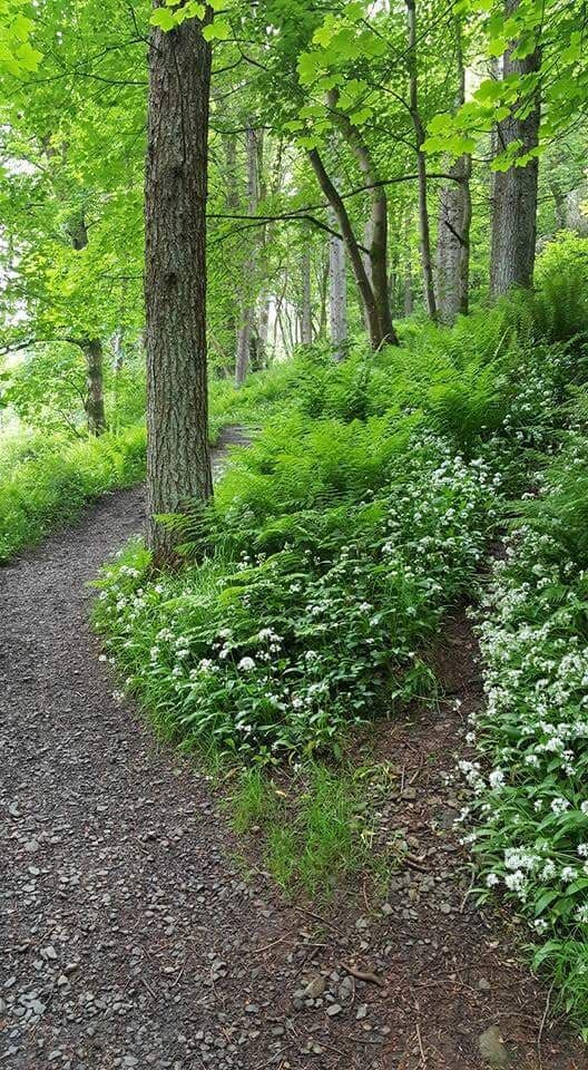 Waterfall trail #lifeatexpedia