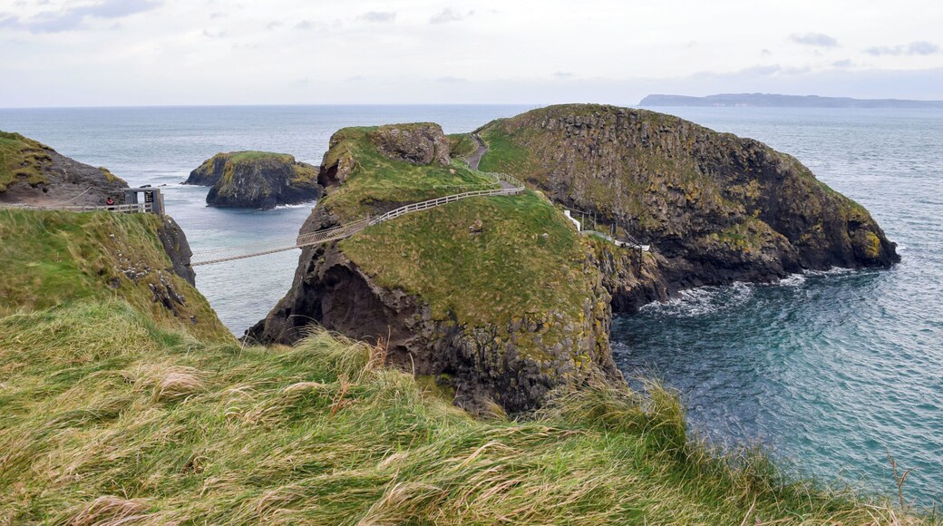 Unfortunately I didn't get a chance to cross the rope bridge since it was too windy. Have you gotten the chance to cross?