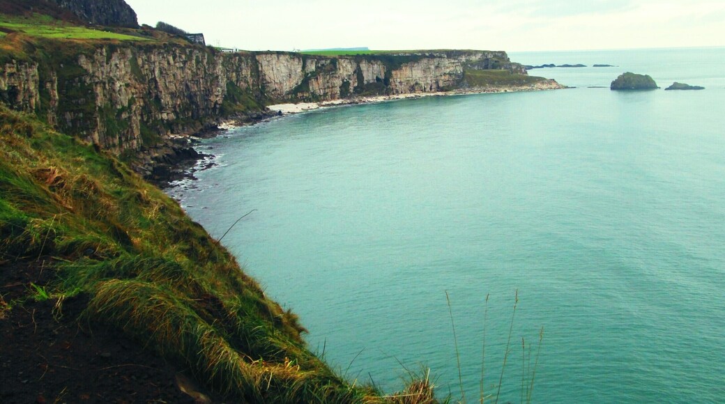 It will take around 20 minutes from the visitors centre to the actual bridge.Luckily the surroundings are amazing.