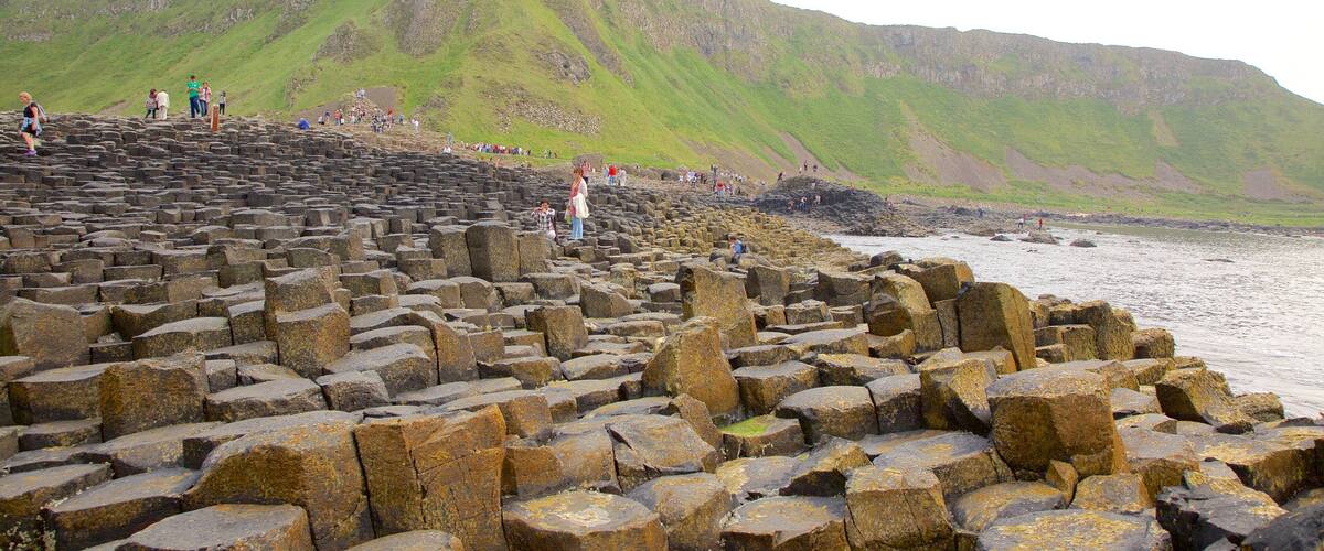 Giant\'s Causeway which includes general coastal views, rugged coastline and a monument