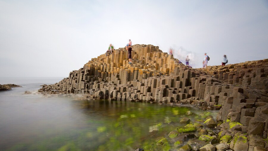 Giant\'s Causeway featuring rugged coastline, a monument and heritage elements