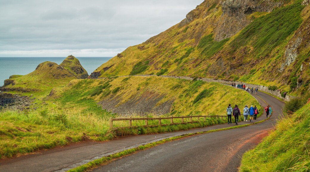 Giant\'s Causeway which includes hiking or walking and tranquil scenes as well as a small group of people
