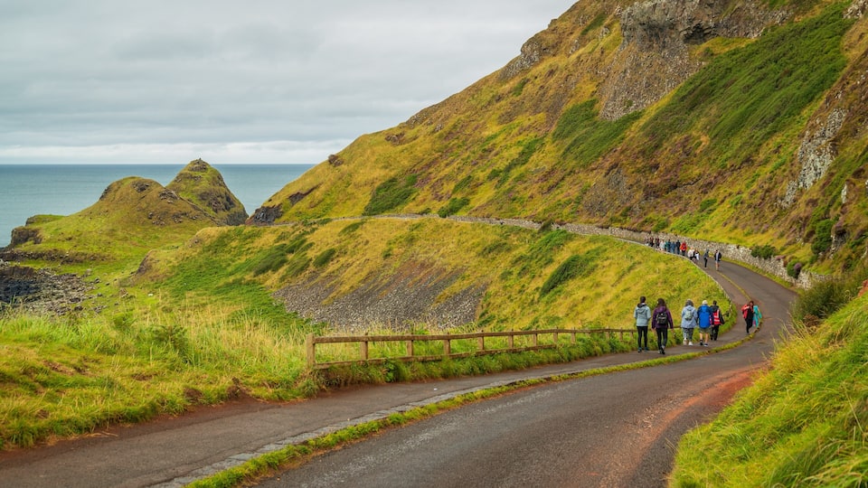 A coastal road winding through grassy hills with a stone wall and a group of hikers.