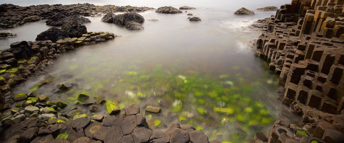 Giant\'s Causeway ofreciendo litoral rocoso, vistas de una costa y elementos patrimoniales