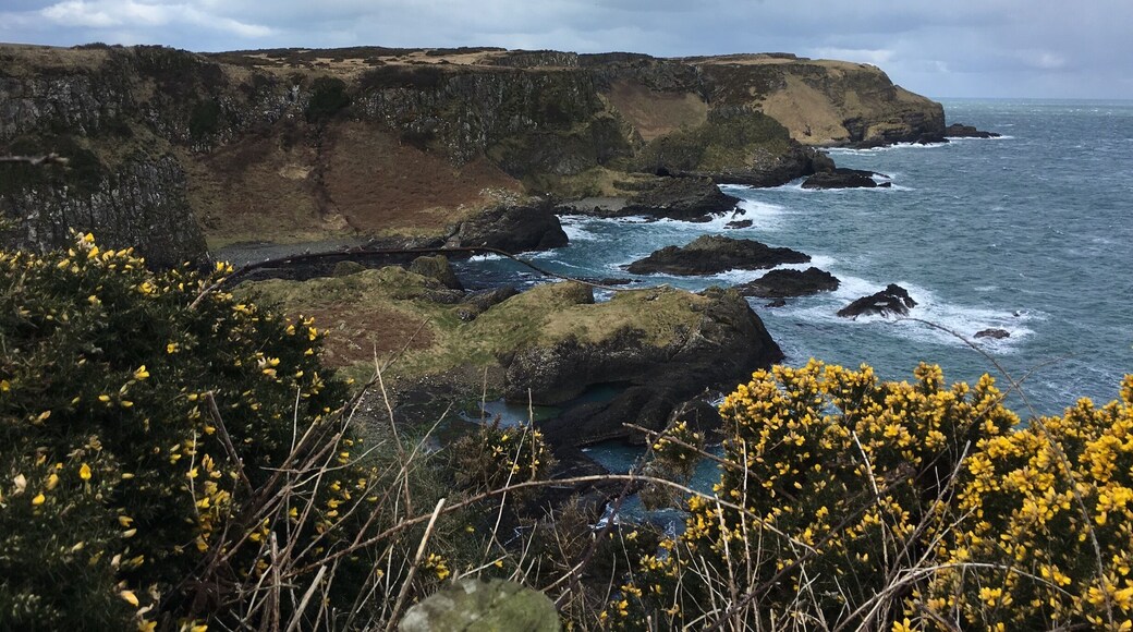 Beautiful spot right by the Cliffs of Moher
