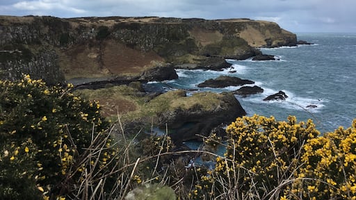 Beautiful spot right by the Cliffs of Moher