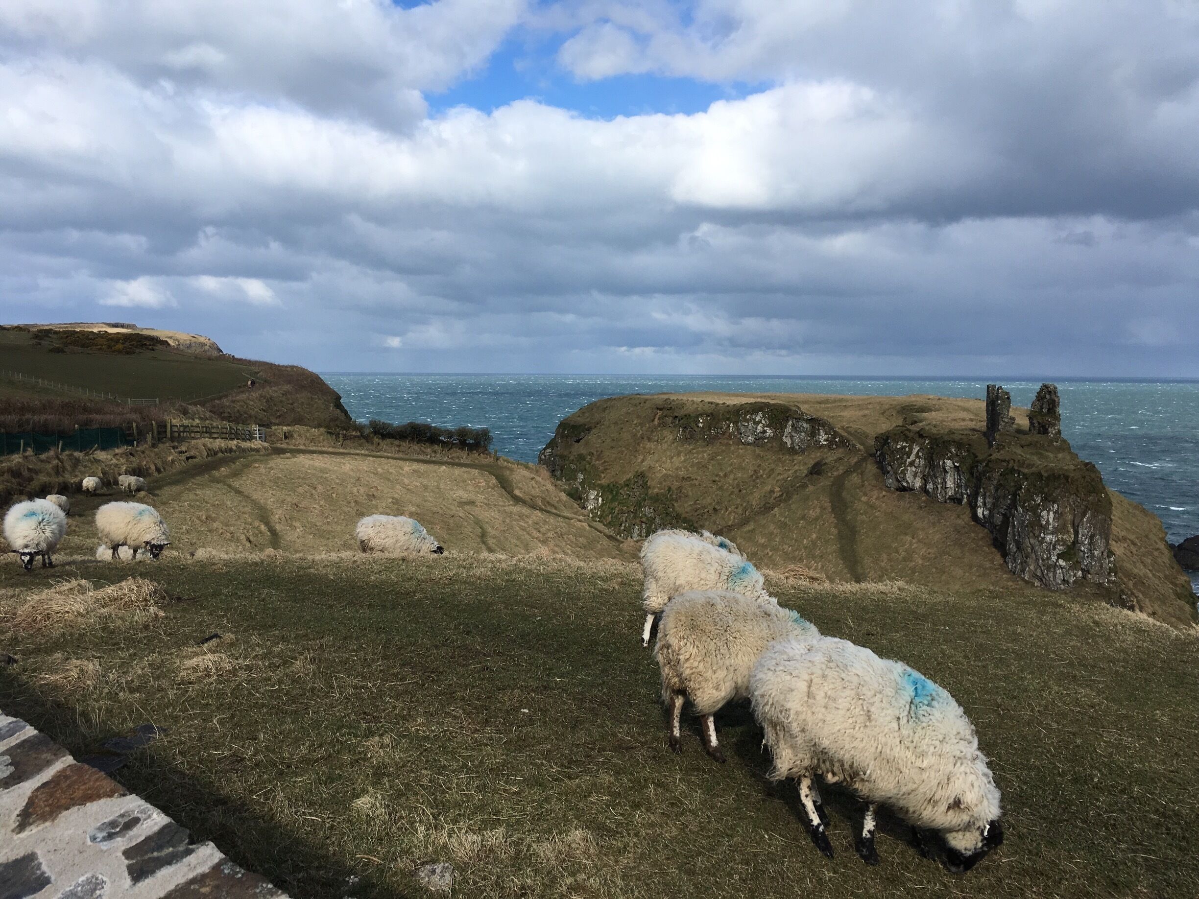 Beautiful spot near the causeway  