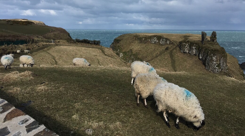 Beautiful spot near the causeway