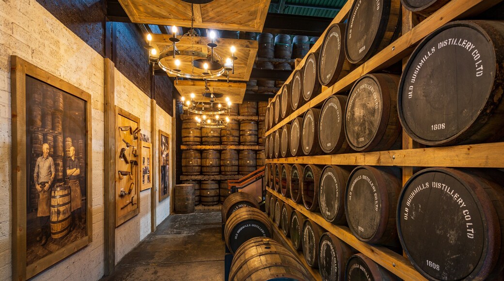 Bushmills featuring interior views
