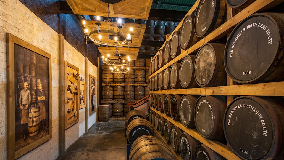 A distillery with wooden barrels on shelves and a wooden ceiling.