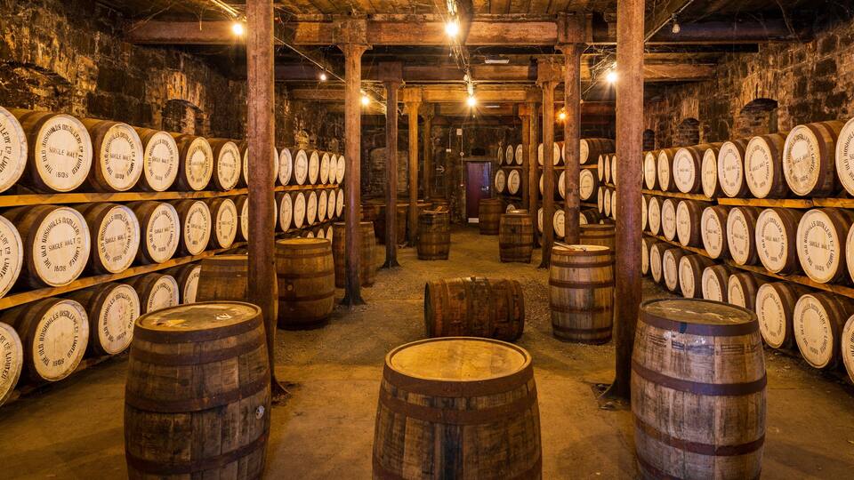 A distillery with wooden barrels and shelves of whisky casks.