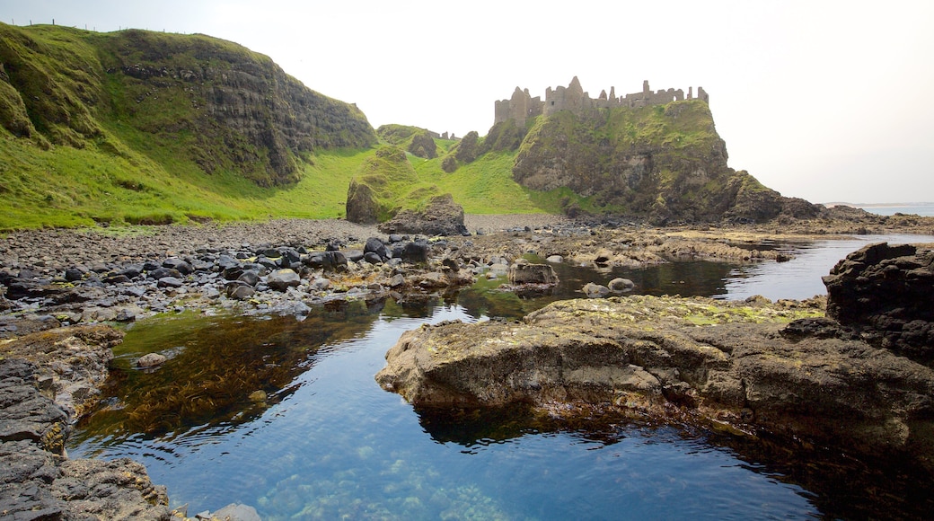 丹魯斯堡 设有 懷舊元素, 莊園或宮殿 和 陡峭海岸線