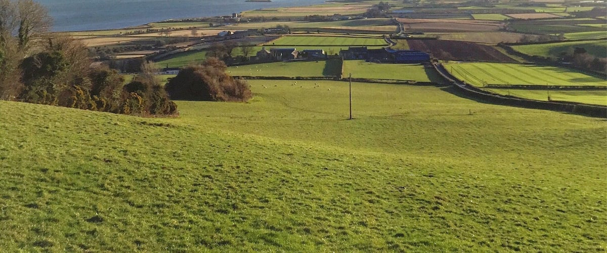 Scrabo tower