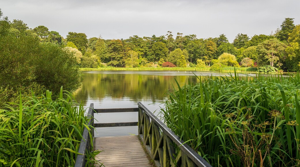 Ards and North Down which includes a lake or waterhole