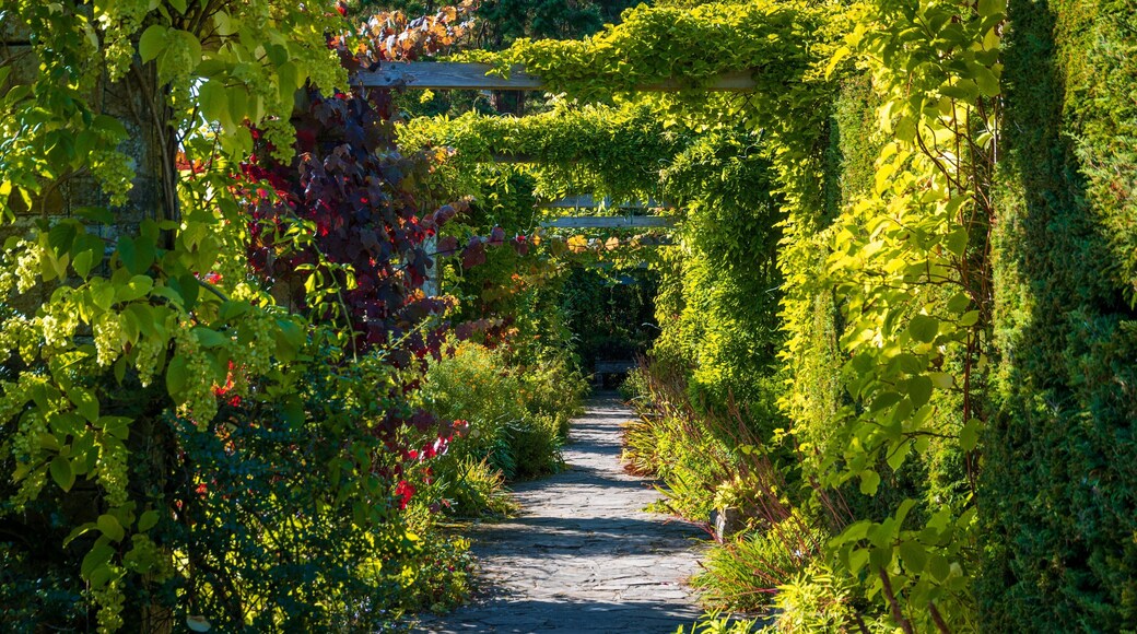 Ards and North Down featuring a garden