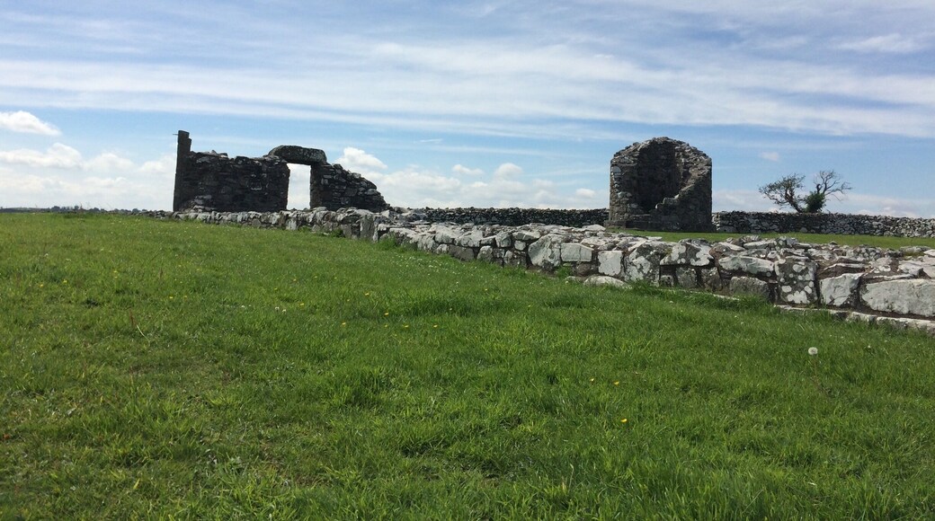 6 miles outside Comber on Strangford Lough. This historic landmark is featured on the St.Patricks trail.
The road leading to it from Comber is stunning on a beautiful sunny day.