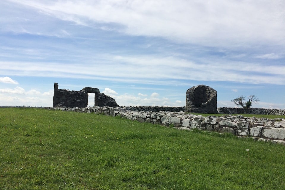 Ruínas antigas de pedra com uma parede de pedra e uma árvore em um campo gramado.