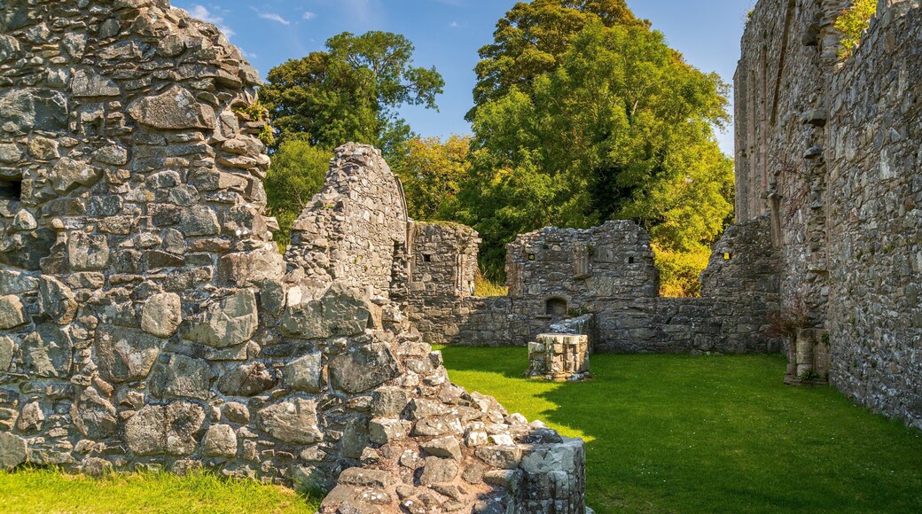 Inch Abbey showing a ruin and heritage elements
