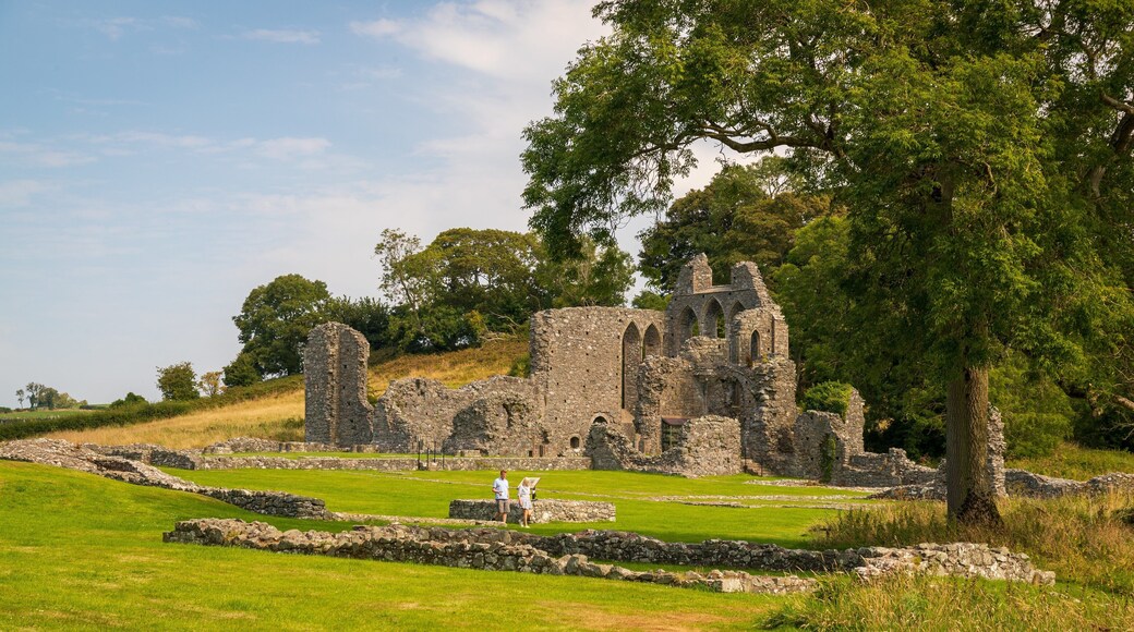 Inch Abbey which includes a ruin and heritage elements