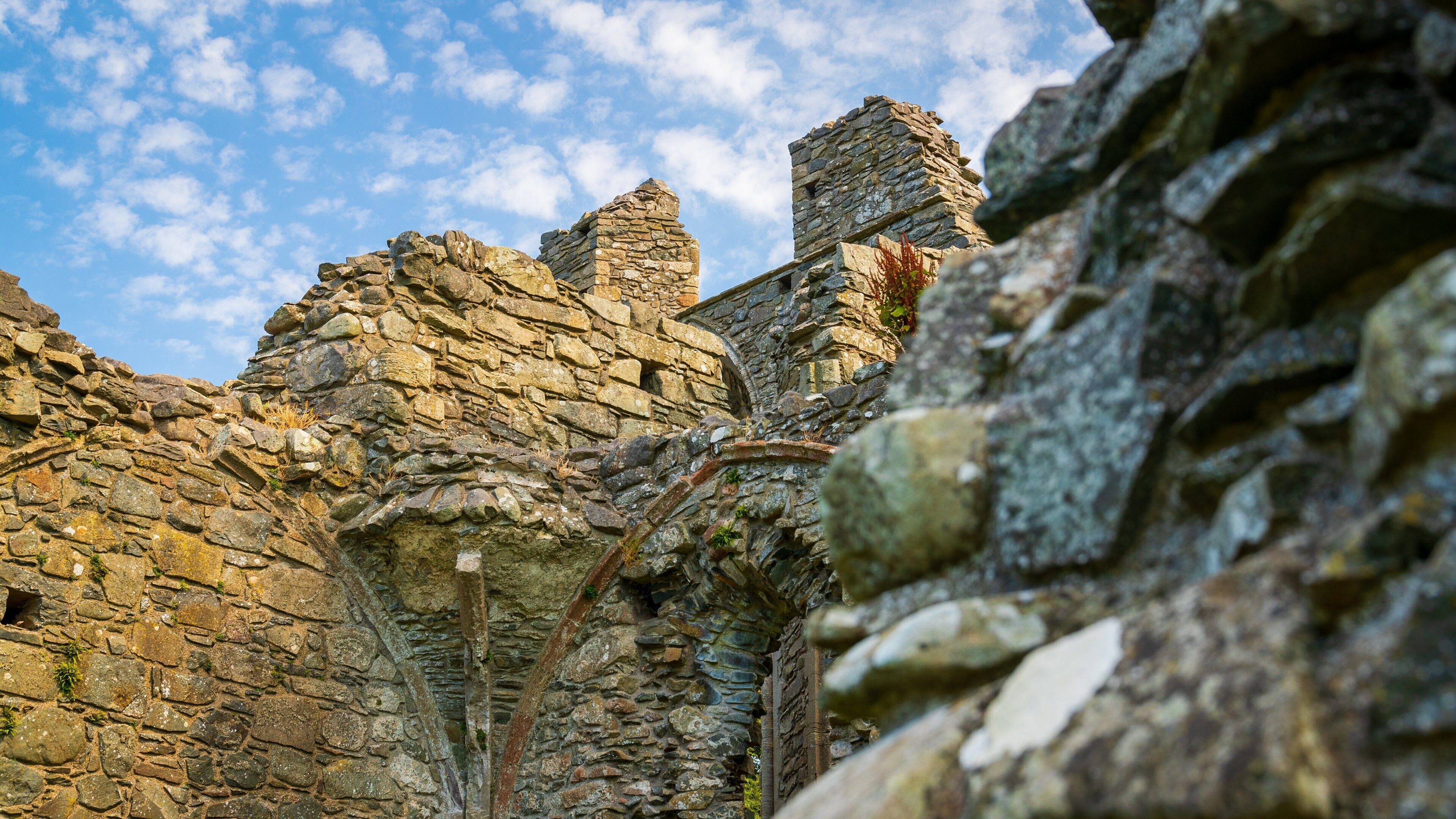 Inch Abbey featuring a ruin and heritage elements