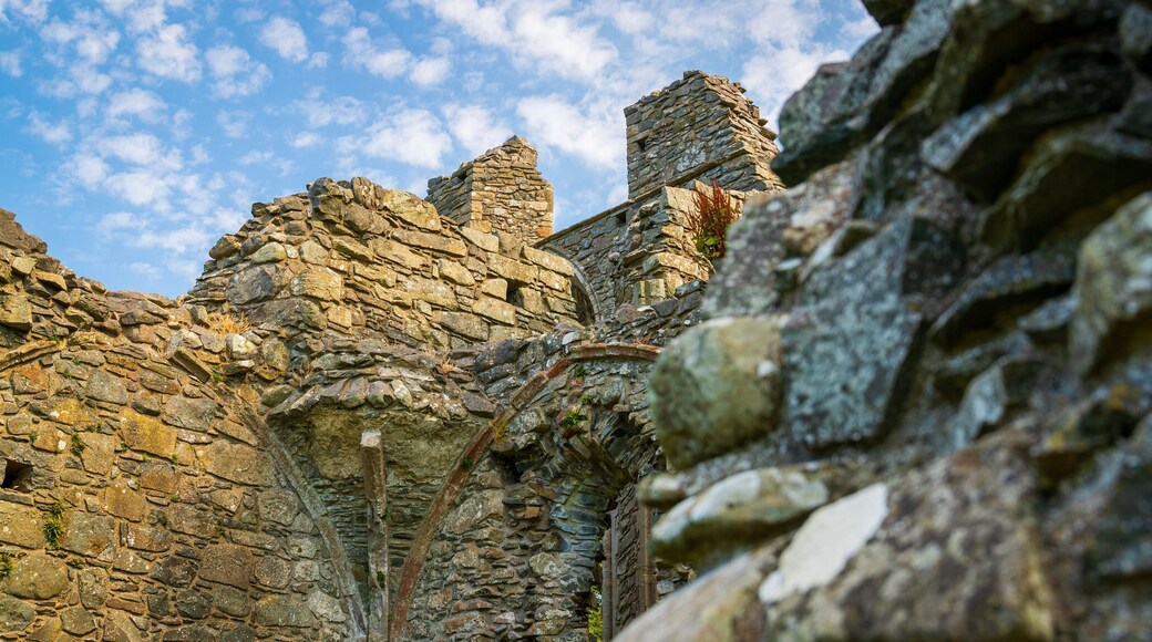 Inch Abbey featuring a ruin and heritage elements