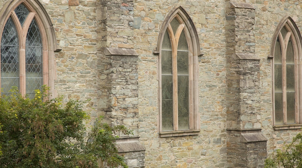 Down Cathedral featuring a church or cathedral and heritage architecture