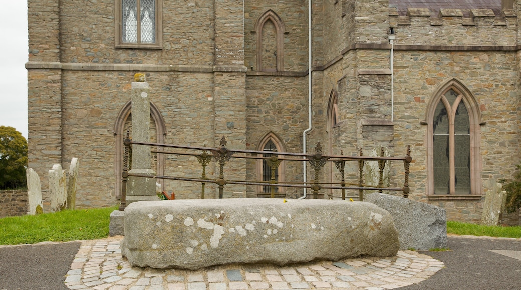 Down Cathedral which includes a church or cathedral and heritage architecture