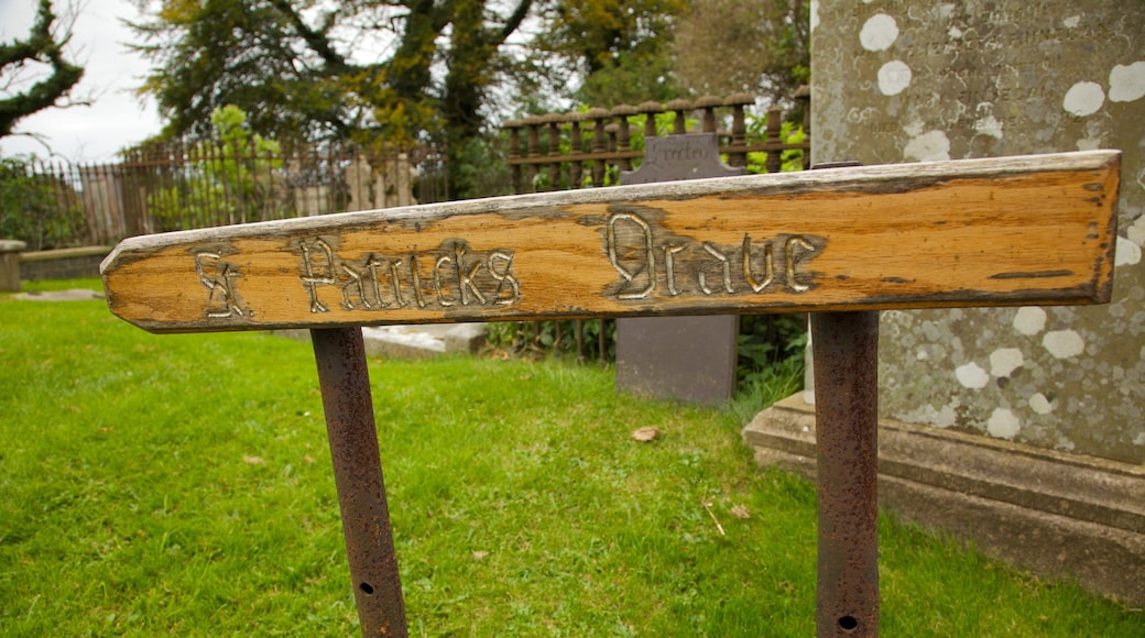 Down Cathedral inclusief bewegwijzering en een begraafplaats