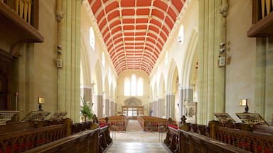 A church interior with a high arched ceiling, wooden pews, and a central aisle leading to an altar.