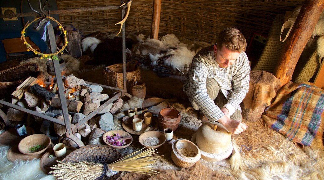 Navan Fort and Visitor Centre as well as an individual male