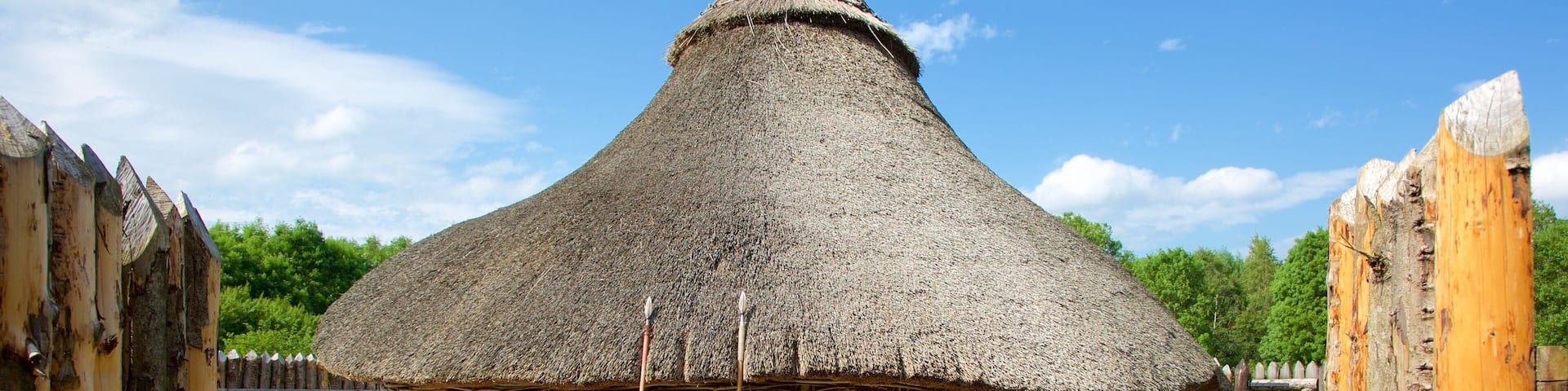 A traditional thatched-roof hut surrounded by wooden fences and stacks of logs.