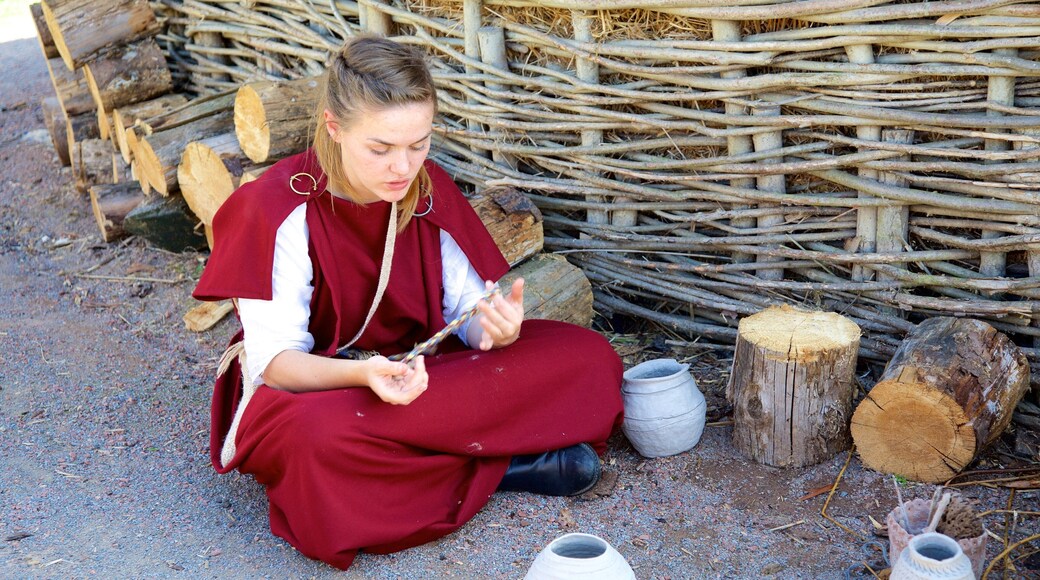 Navan Fort and Visitor Centre i tillegg til en kvinne