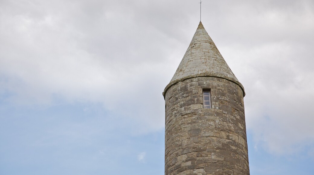 Devenish 島 其中包括 懷舊元素 和 遺跡建築