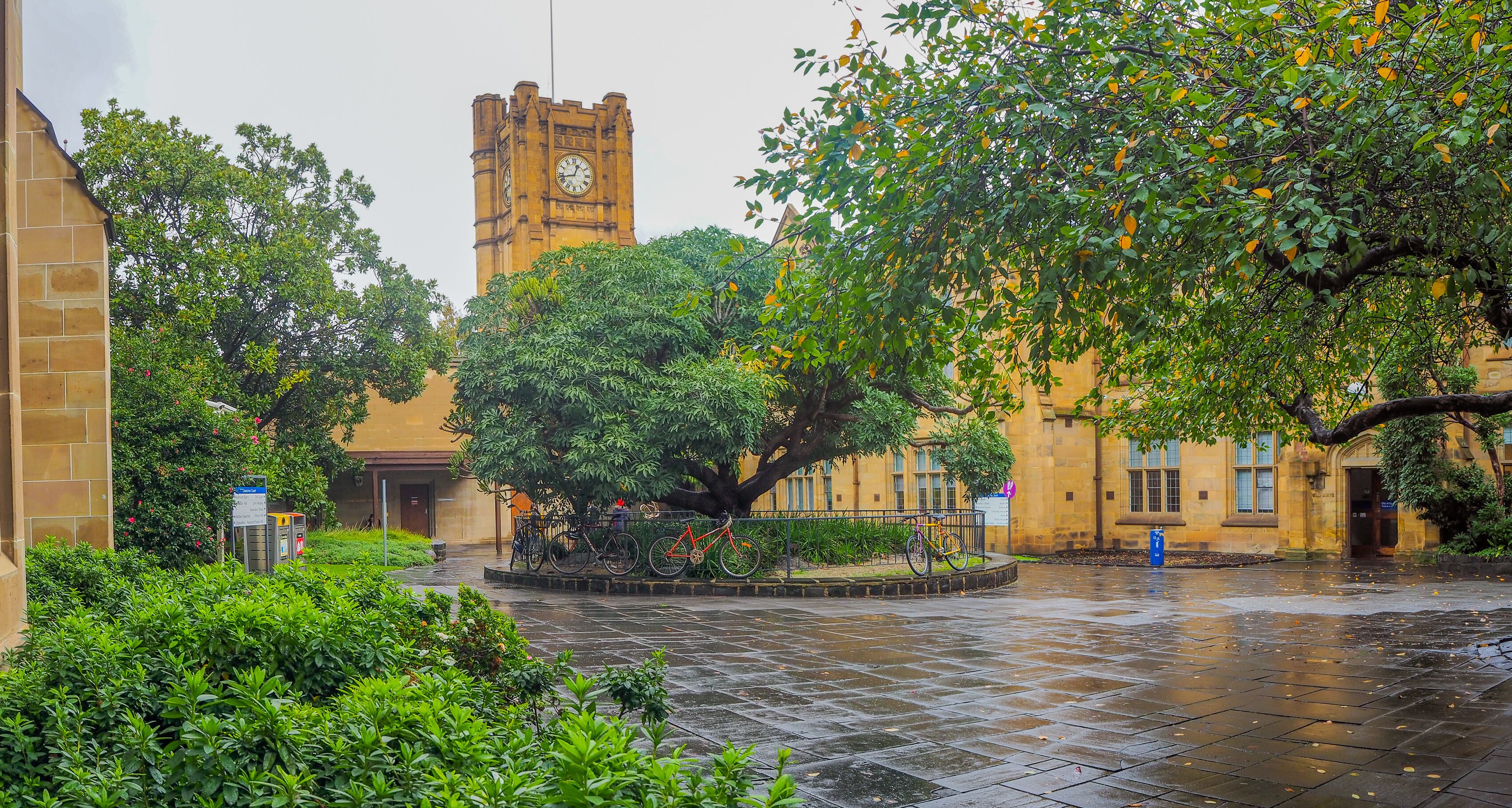호주 국립 대학교