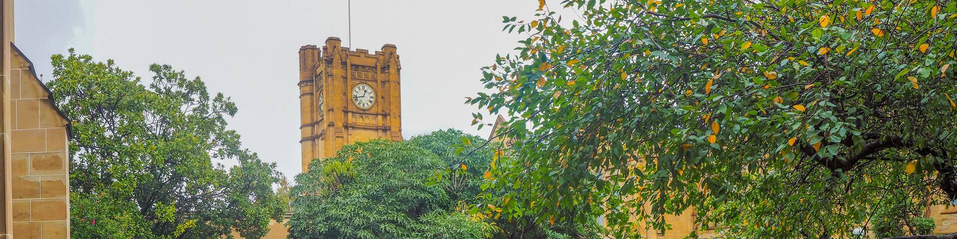 A courtyard with a clock tower, bicycles, and lush greenery.