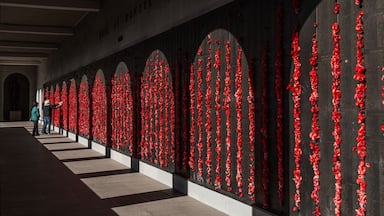 Un pasillo con flores rojas en las paredes y un cartel que dice 'HONOUR'.