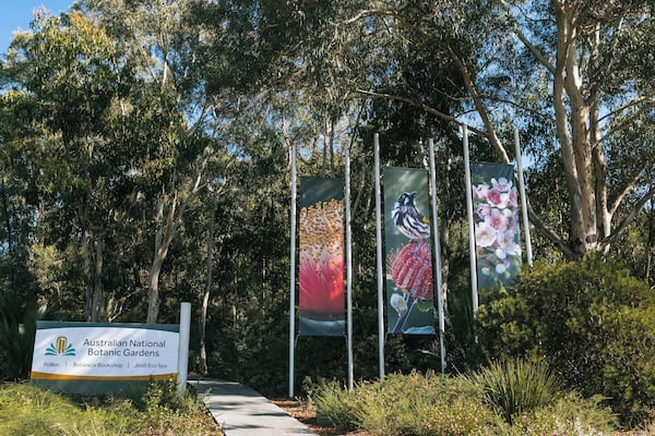 A sign for the Australian National Botanic Gardens with three banners depicting flowers and birds.