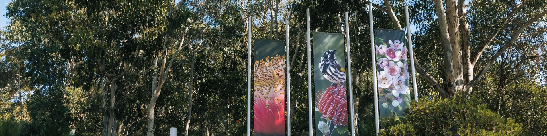 Placa para o Jardim Botânico Nacional da Austrália, com três faixas representando flores e pássaros.