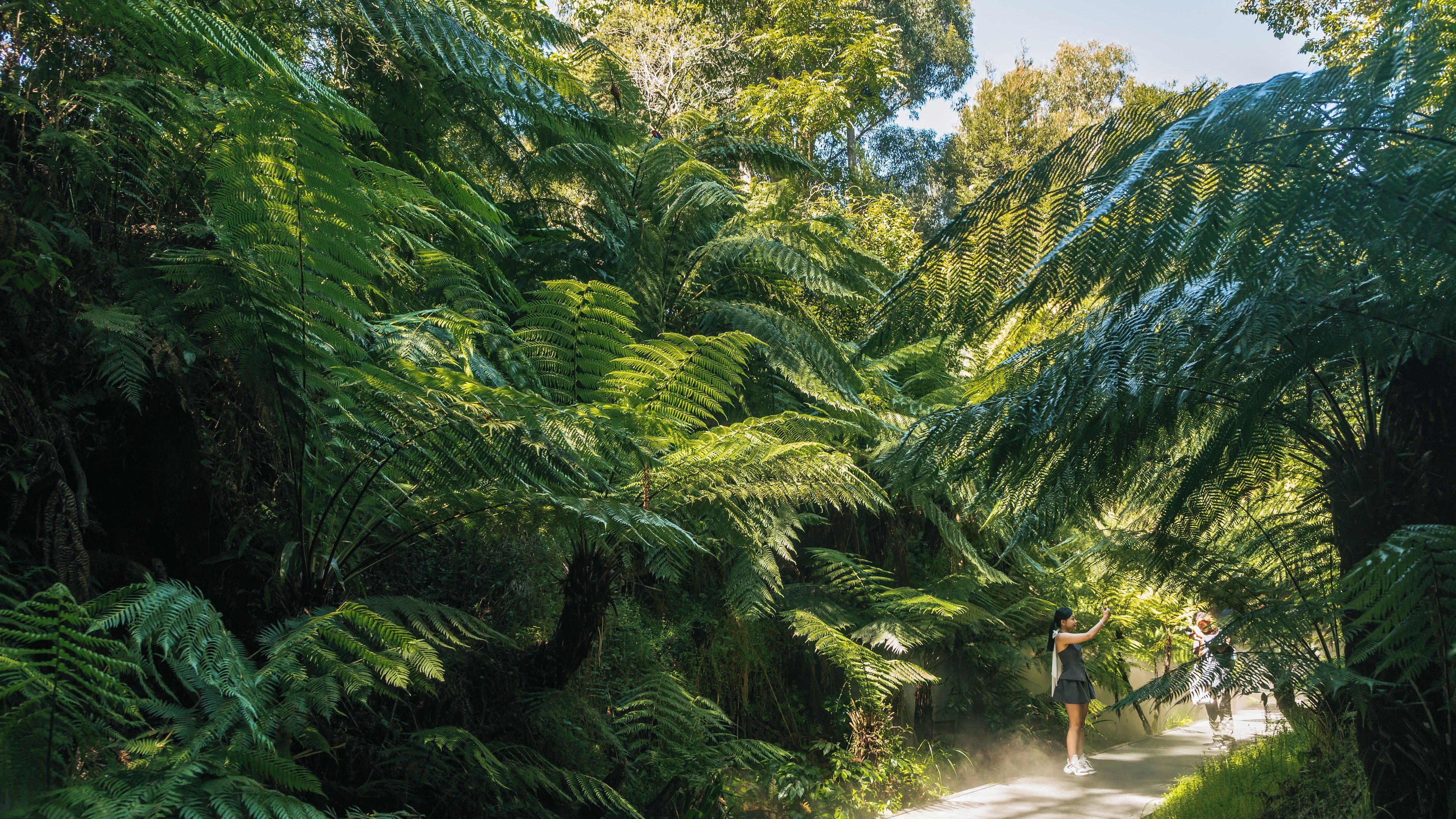 Jardins Botànics Nacionals d'Austràlia