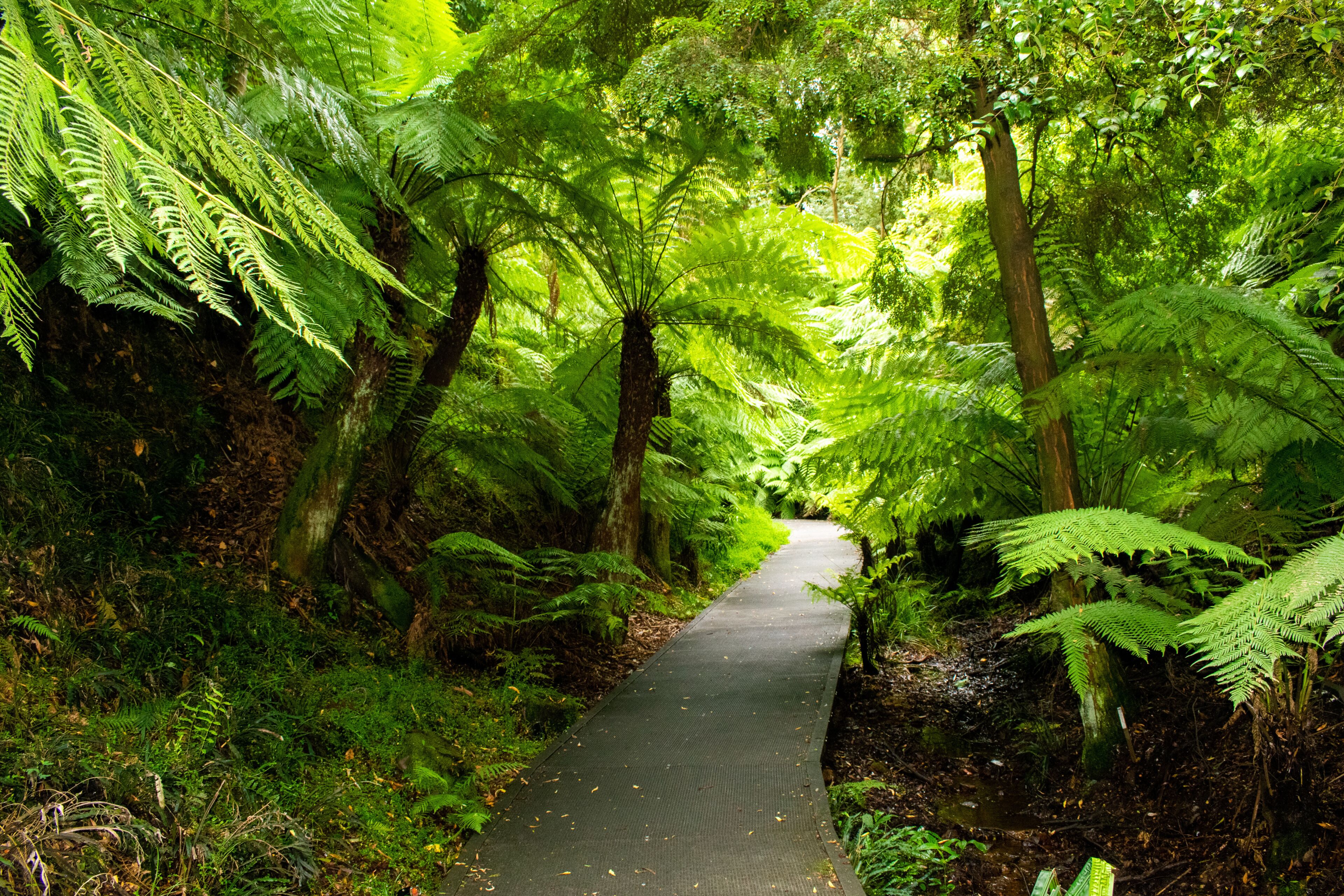 Australian National Botanic Gardens