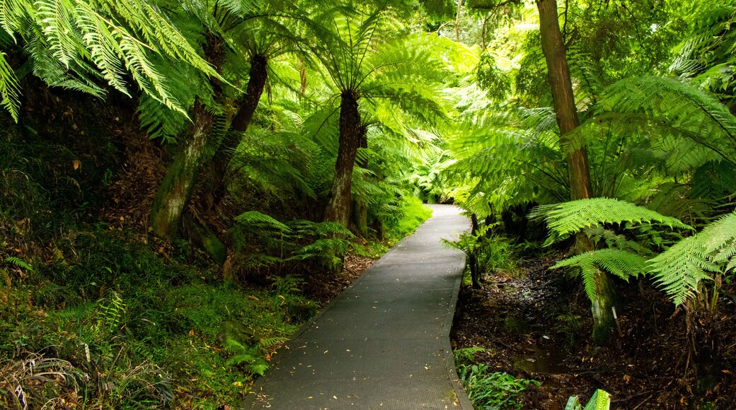 Australian National Botanic Gardens