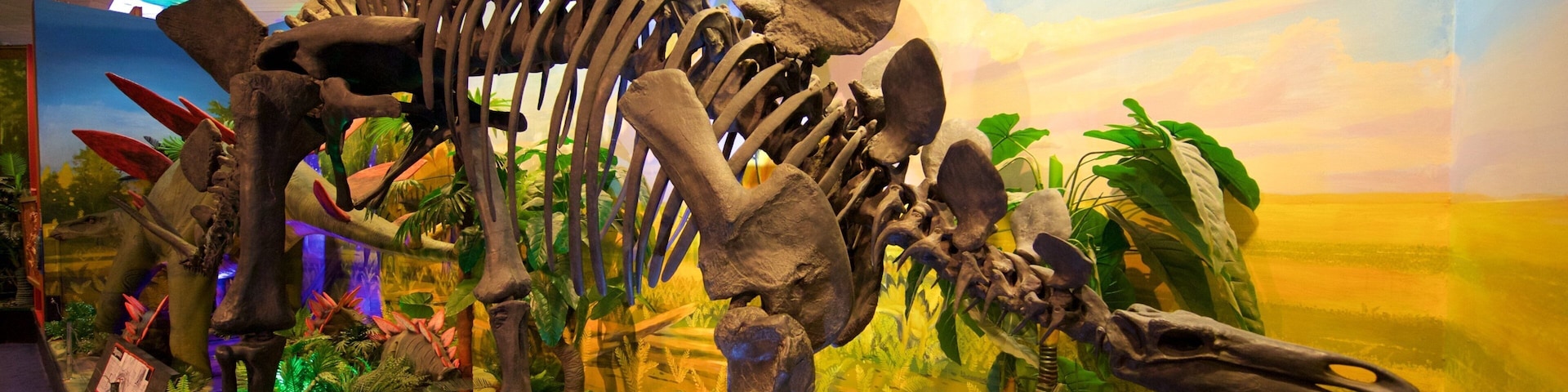 National Dinosaur Museum