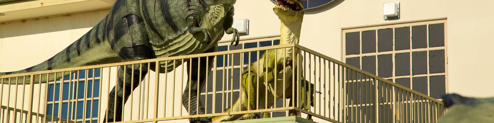 National Dinosaur Museum